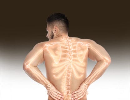 ... îți susține procesele din corp