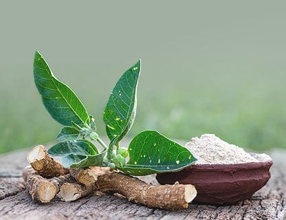 Utilizarea rădăcinii și frunzelor