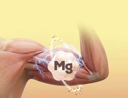 Bisglicinat de magneziu organic