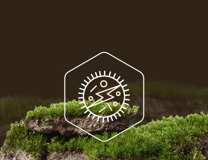 Nicotinamid-ribozid clorură, sursa de energie a celulelor