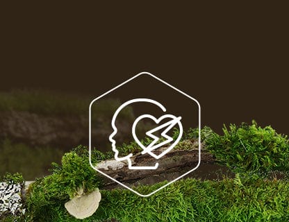 Coenzima Q10, motorul celulelor