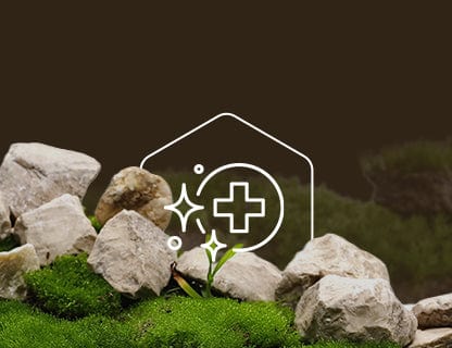 Trans-resveratrol, puterea polifenolilor