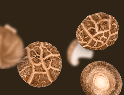 Shiitake, nobilul Orientului Îndepărtat