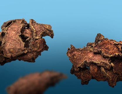 Un favorit vechi al culturilor nordice