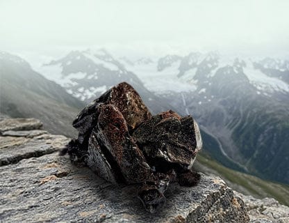 Sursa naturală a acizilor humici din natură